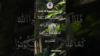 Download Lagu Surah Al-Baqarah ayat 239 MP3