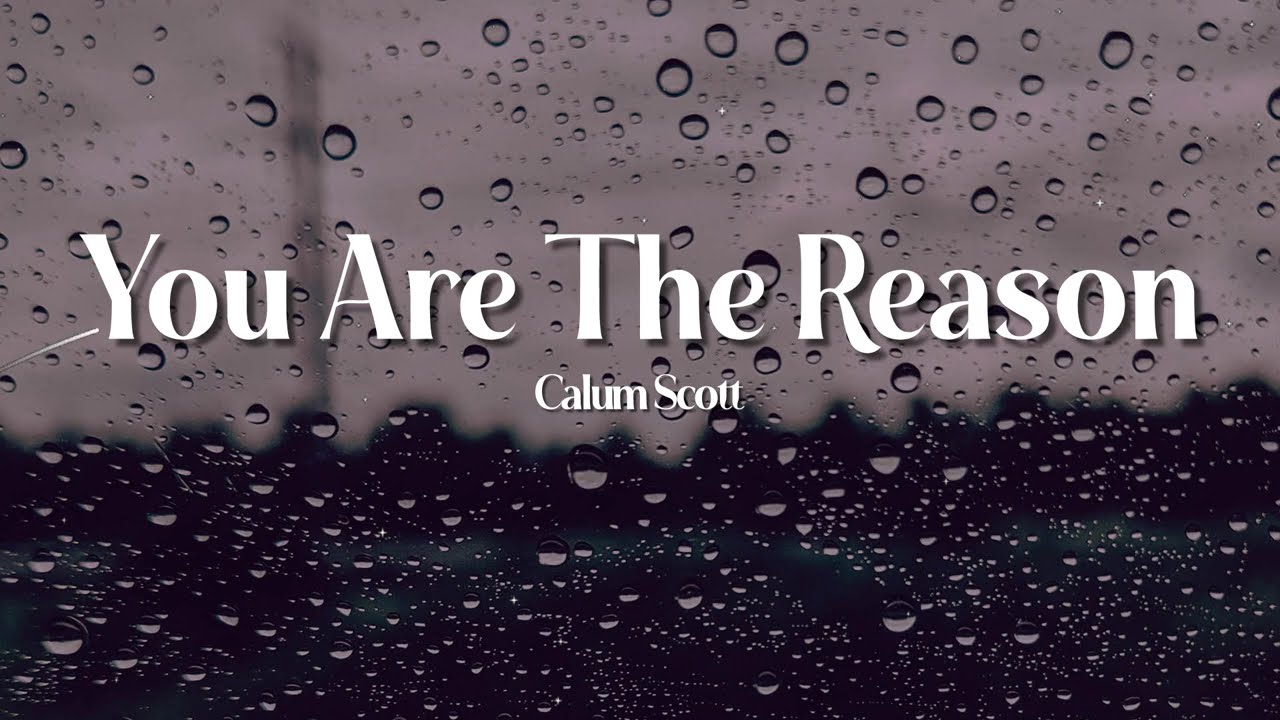 Calum Scott - You Are The Reason (Lyrics) | Romantic Hits