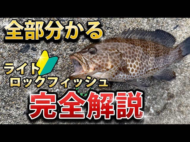 Yahoo!オークション - 究極のハエ釣り 点を釣るスピード釣法
