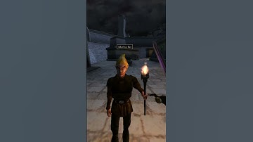 Killing the adoring fan in Morrowind every day until Skywind and Skyblivion are released Day - 222