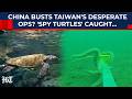 'Spy Turtles' & 'Spy Fish' Near China's Coast: Xi Busts Taiwan's Desperate Ops To Outplay Beijing?