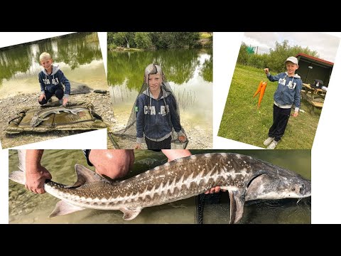 Video: Lej, Fisk Og Faktisk Tale Med Mennesker På Snow Peak Way