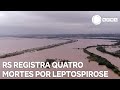 Rio grande do sul registra quatro mortes por leptospirose