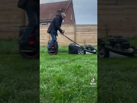 Vidéo: Combien facturer la tonte des pelouses ?