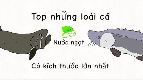 Top những loài cá nước ngọt có kích thước lớn nhất #cacanh
