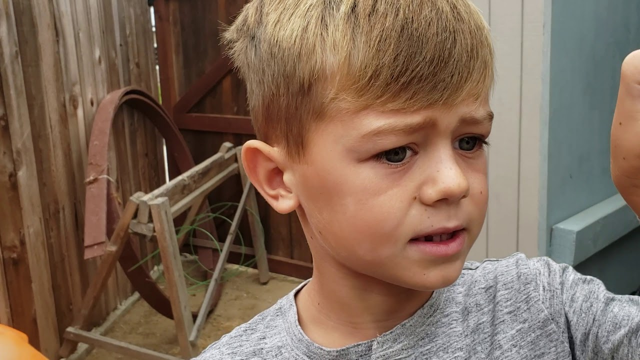 Catching Alligator...Lizard YouTube