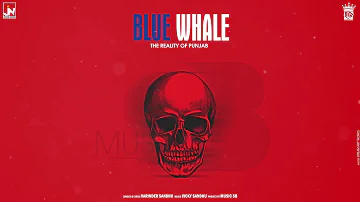 Blue Whale - Varinder Sandhu