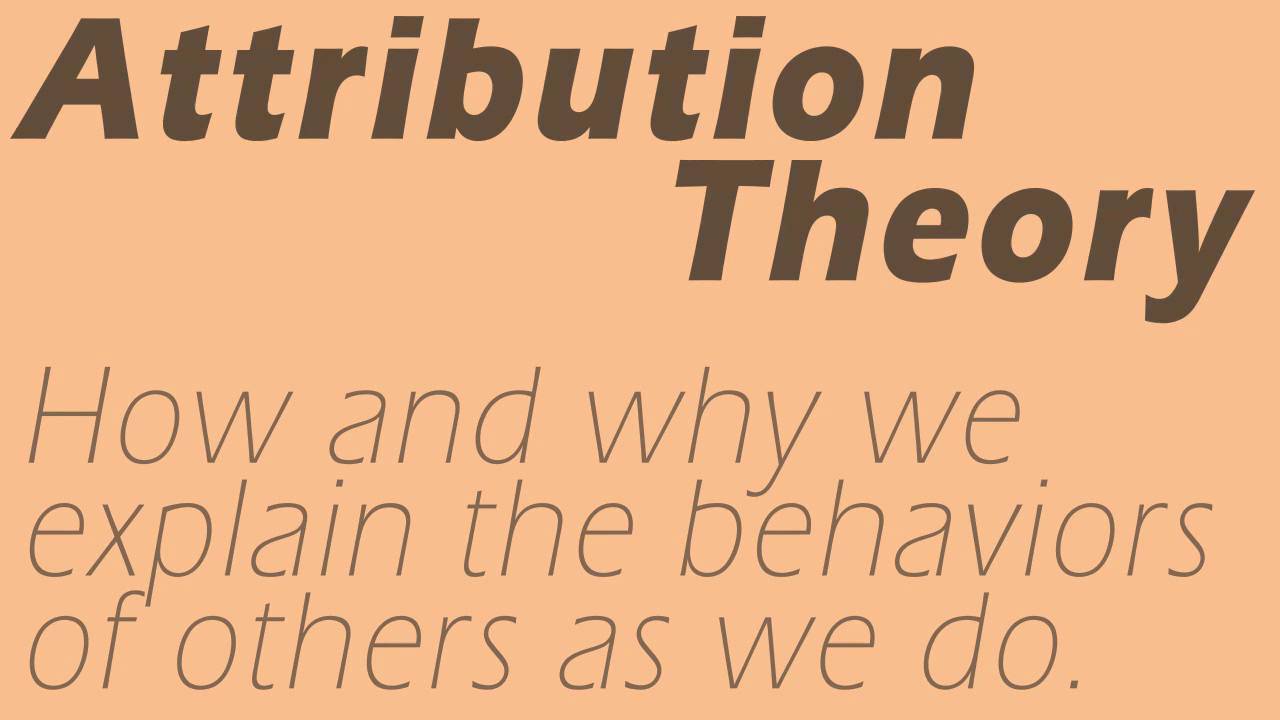 Theory Of Attribution Worksheet Answers