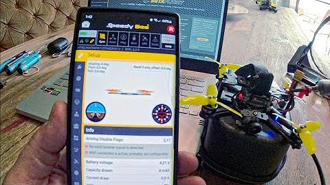 Betaflight Configurator on your smartphone. #speedybee #djifpv