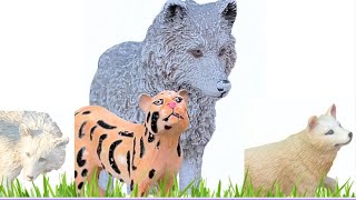 Wild Friends Episode 3 🦁 Fun Animal Adventures for Kids 