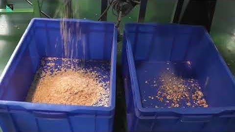 SG Shrimp Sorting Machine/Color Sorter Machine