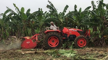 Kubota Tractor Removing Banana Crop