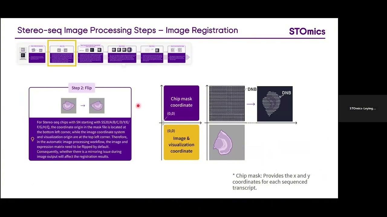How to Process Image Data  to Achieve Single cell Resolution Gene Expression on Stereo-seq