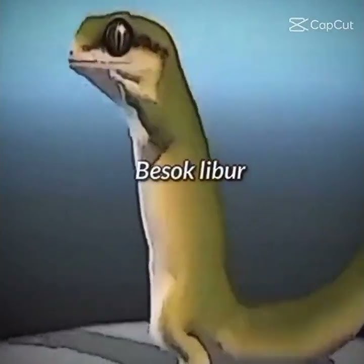 besok tanggal 23/10/2022 libur. besok libur😘😘👍