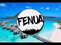 Heinui amanda x destroke mdc honoipo tropical house remix