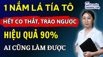 Bí Quyết Từ Lá Tía Tô: Cắt Đứt Trào Ngược “Thần Tốc”, Giảm Co Thắt Dạ Dày Đến Mức Khó Tin!