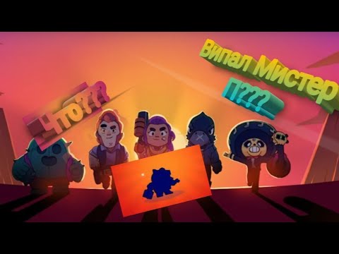 Мистер вазу клип