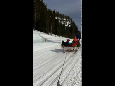 Moonwalker Sled