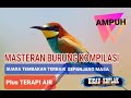 MASTERAN BURUNG SUARA TEMBAKAN TERBAIK SEPANJANG MASA + TERAPI AIR. Ampuh!!!