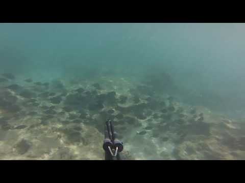 [TEASER] Underwater Railroad