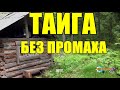 БЕЗ ПРОМАХА |ТАЙГА