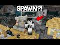 Minecraft, ma GLI SPAWN SONO ASSURDI...