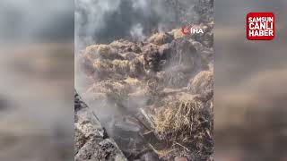 Kavak'ta samanlık yangını