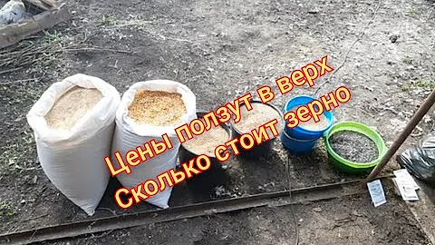 Цены на зерно в 2021 г.  Стоимость 1 кг. Зерносмеси.
