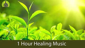 1 Hour Deep Healing Music for The Body & Soul - Relaxing Music, Meditation Music, Soothing Music