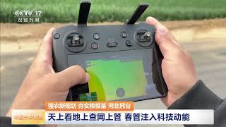 [中国三农报道]强农新规划 夯实粮根基 河北邢台 AI大模型助力农业生产 浇灌不再凭经验 | 农业致富经 Agriculture And Farming
