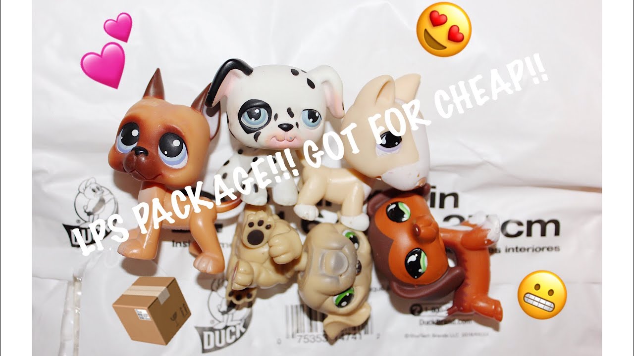 LPS PACKAGE!! I GOT FOR CHEAP! YouTube