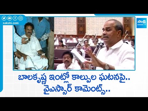 YSR Key Comments on Firing Incident in Balakrishna's Home @Sakshi TV Johar YSR