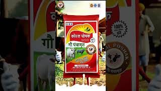किसानों की पहली पसंद Koral Poshak Gau #farming #cattle