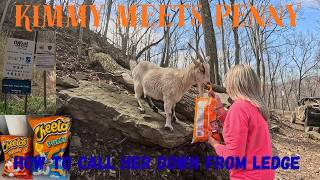 Hatfield McCoy Trails | Kimmy Calls Down PENNY:) | Devil Anse Trail 66