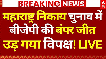 Maharashtra Local Body Election Result LIVE: महाराष्ट्र निकाय चुनाव में बीजेपी की बंपर जीत| Breaking