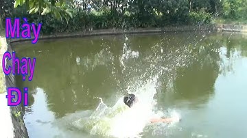 Thanh Niên Ăn Trộm Cá Và Cái Kết SML( 42/5000 young man steals grilled fish and sml ending)