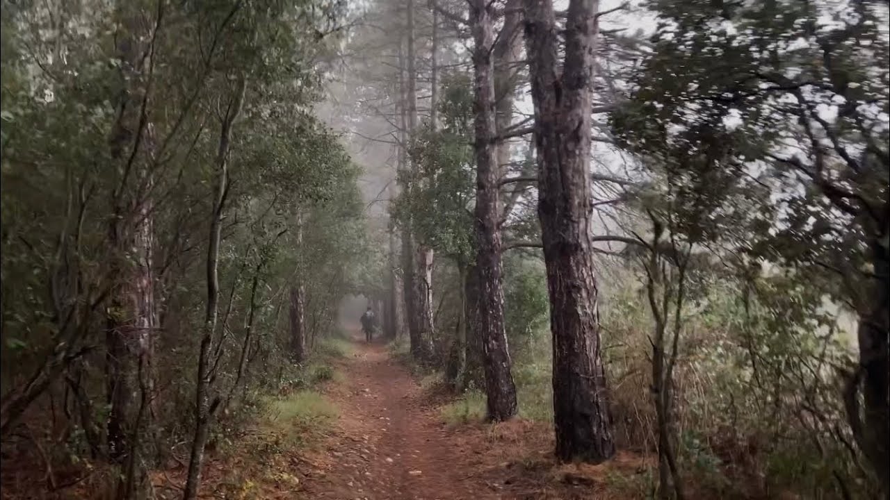 6. Estella - Los Arcos | Camino De Santiago 2021
