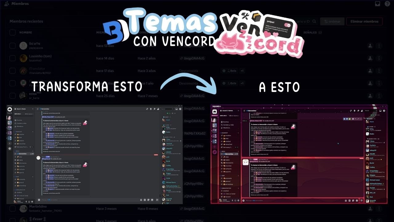 Personaliza Discord con Temas de BetterDiscord y Vencord [Guía 2025]