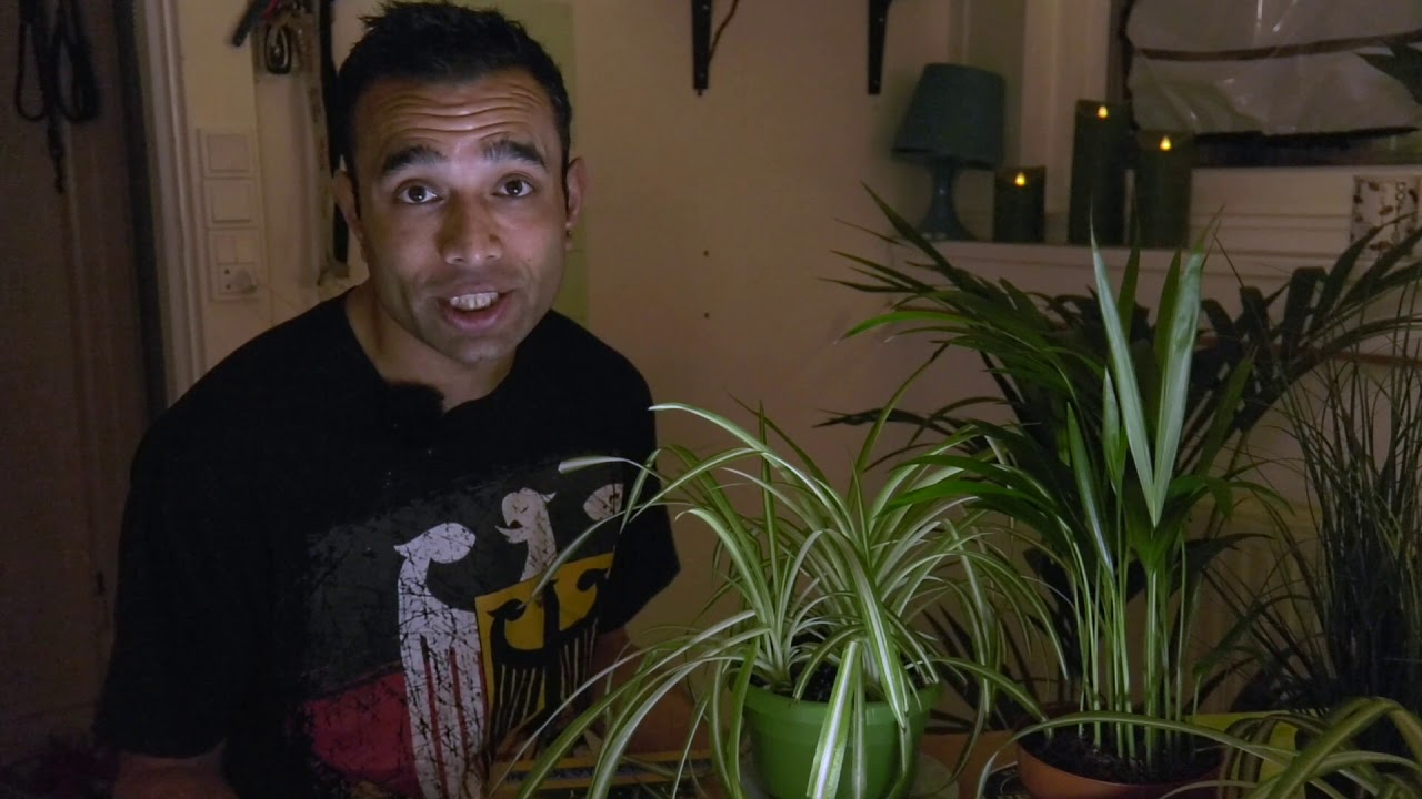 Beskrive bykort del 2