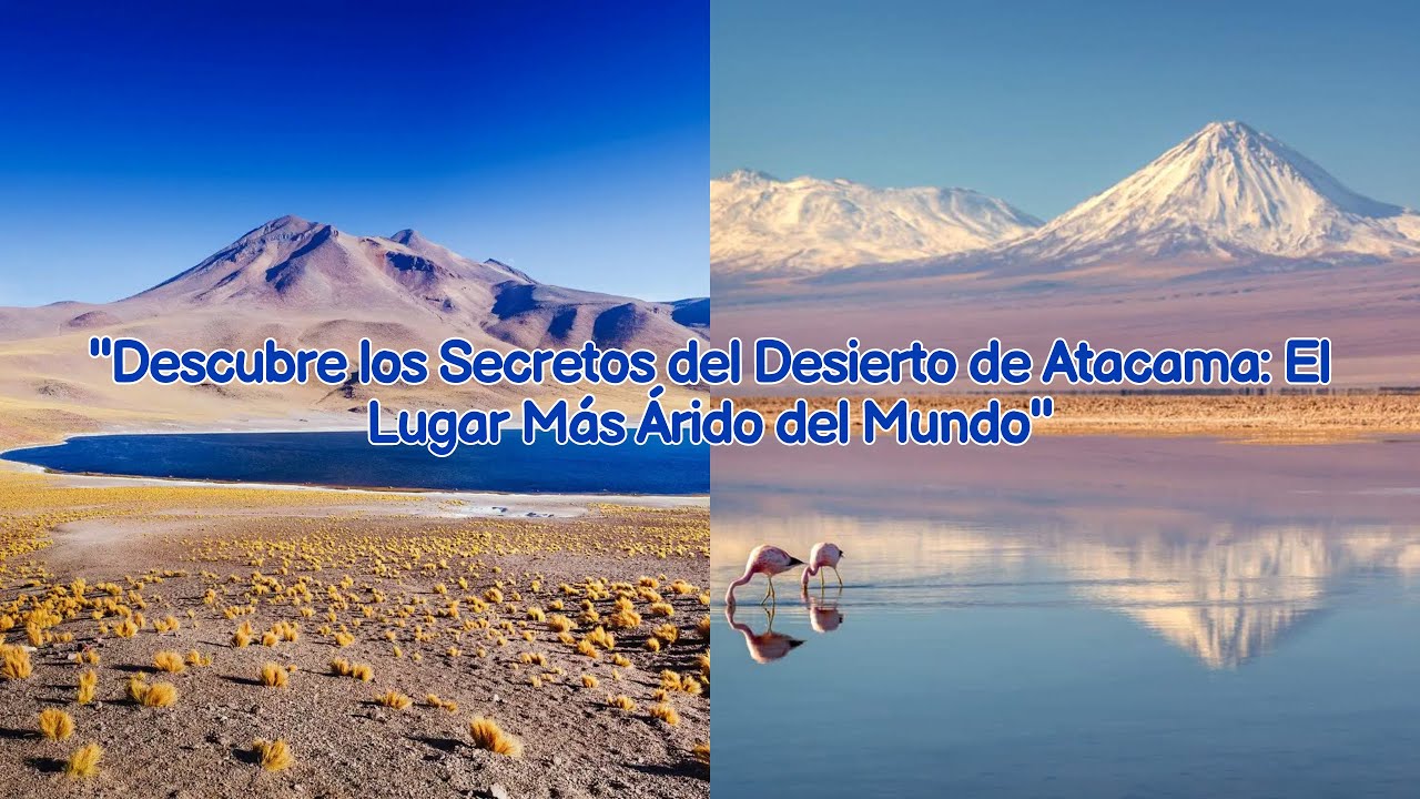 Descubre los Secretos del Desierto de Atacama El Lugar Más Árido del ...