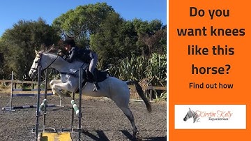 How to improve your horses jumping style with a bounce grid with Kirstin Kelly