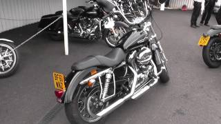 Harley-Davidson Sportster XL1200C Custom Pearl U7235