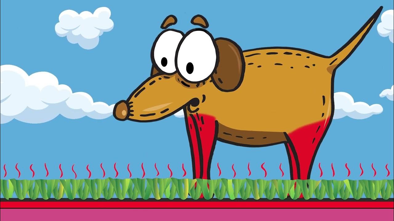 Nix Artificial Turf for Native Plants and Get a Rebate! YouTube