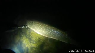 подводная охота р.дон