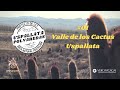 Uspallata - Polvaredas - Cap01. Valle de los cactus.  #DemnozaRodocantha #uspallata