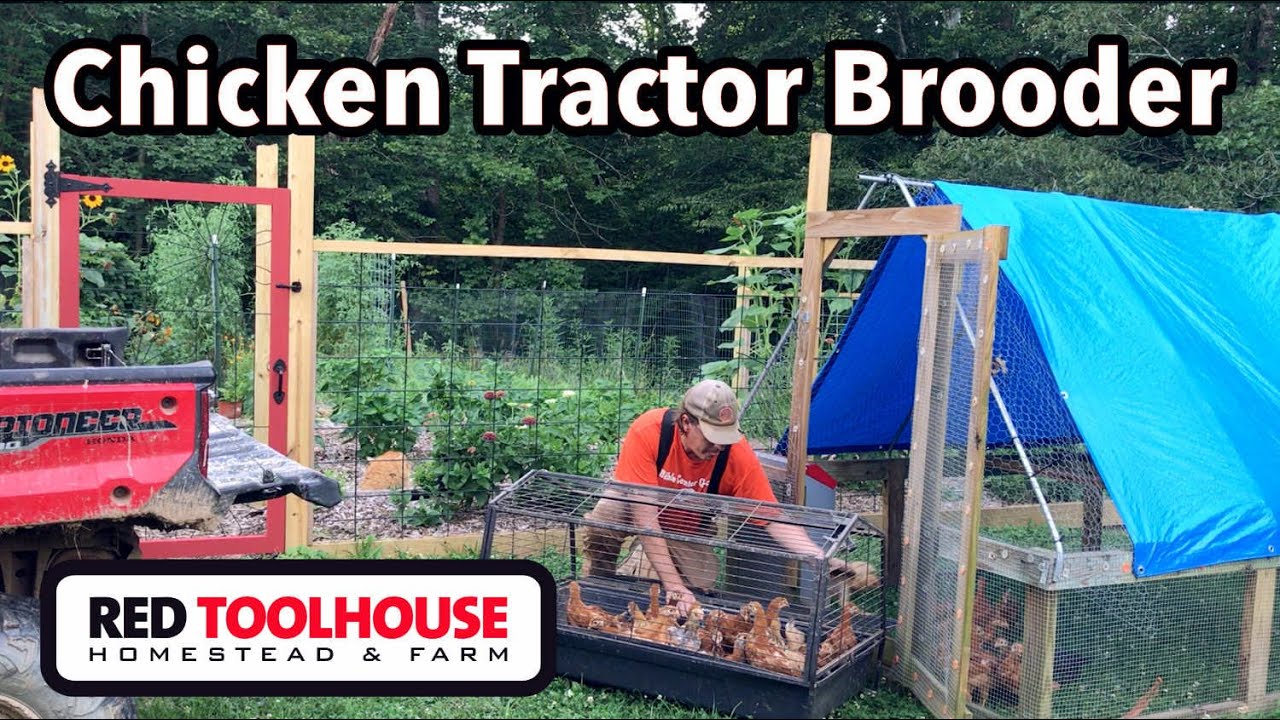 Using a Suscovich Tractor as a BROODER - YouTube