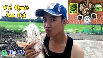 về vườn bắt cá lóc khủng nướng và rắn xào sả ớt nhậu một bữa quá đã | NGÃ NĂM TV Tập 172