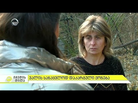 ვალის სანაცვლოდ გაყიდული ღორები - საფინანსო ორგანიზაციის მიერ ოჯახიდან თვითნებურად ამოღებული ქონება