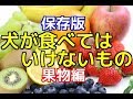 【愛犬のための知識】保存版！犬が食べてはいけないもの（果物編）【犬を知る】