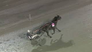 Vidéo de la course PMU VINTERSTOET